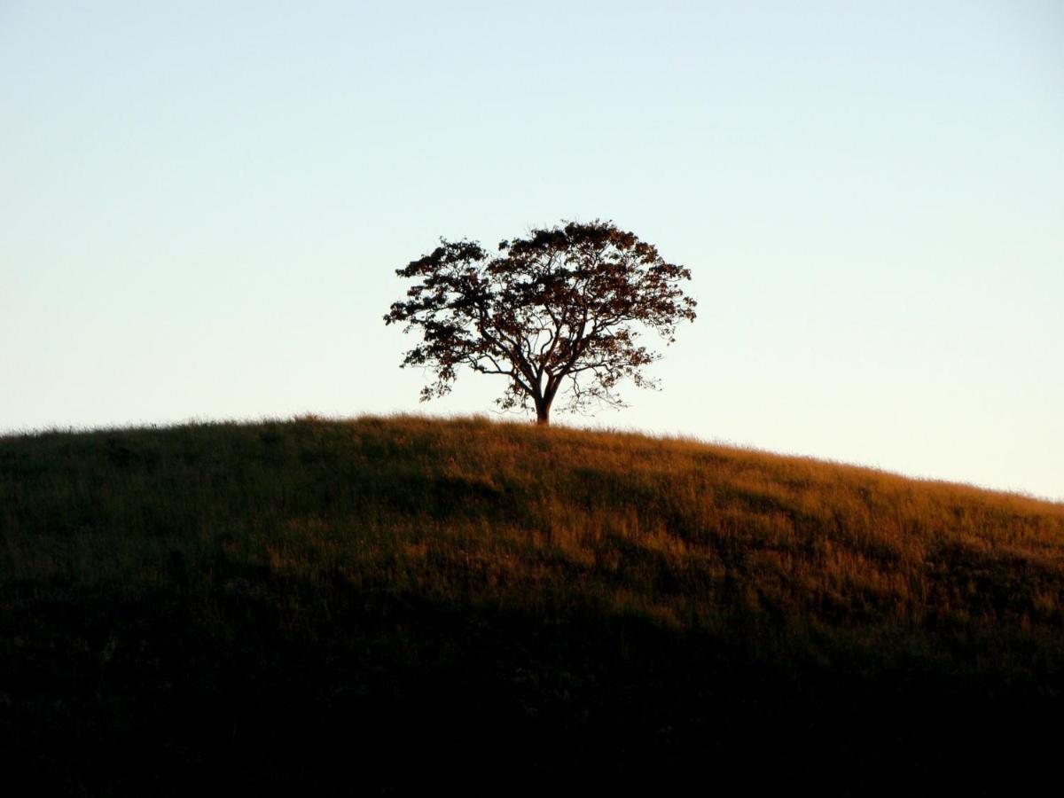 Fazenda Menino Da Porteira Ouro Fino (Pouso Alegre)