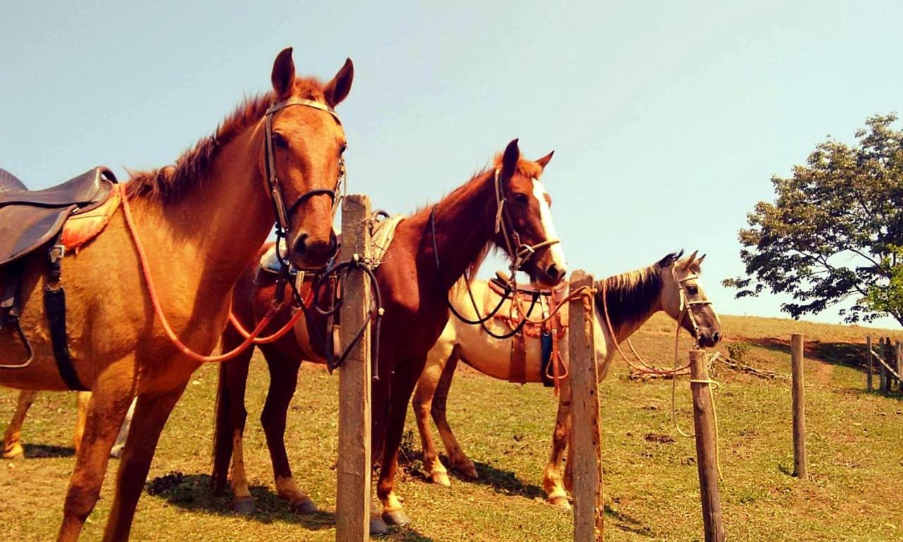 Alojamento de Turismo Rural Fazenda Menino Da Porteira Ouro Fino (Pouso Alegre)