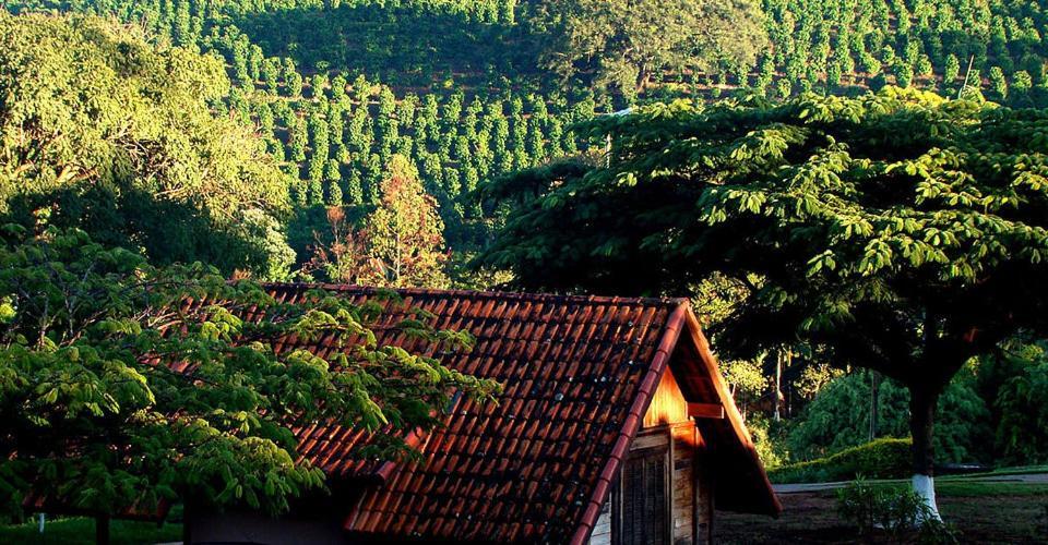 Fazenda Menino Da Porteira